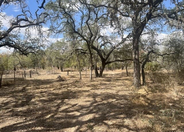 5-bedroom rental at 1050 Hickory in San Antonio, TX — photo 4