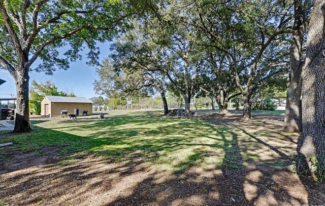 3-bedroom rental at 307 Us Highway 87 in Stockdale, TX — photo 4