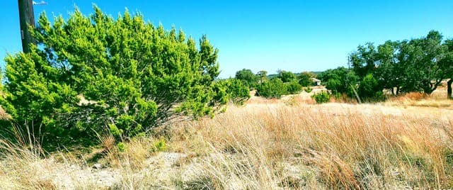 rental at 109 Manuel Herrera in Blanco, TX — photo 5
