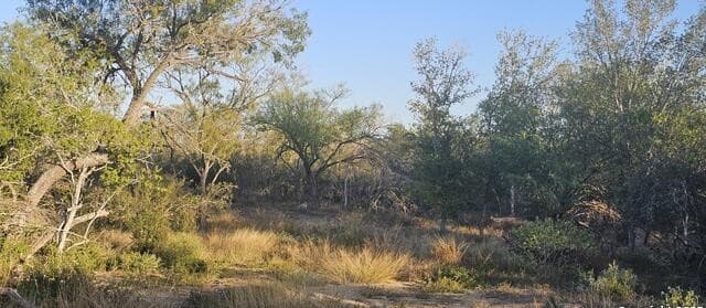 rental at 109 Sylas Hayes in Pleasanton, TX — photo 3