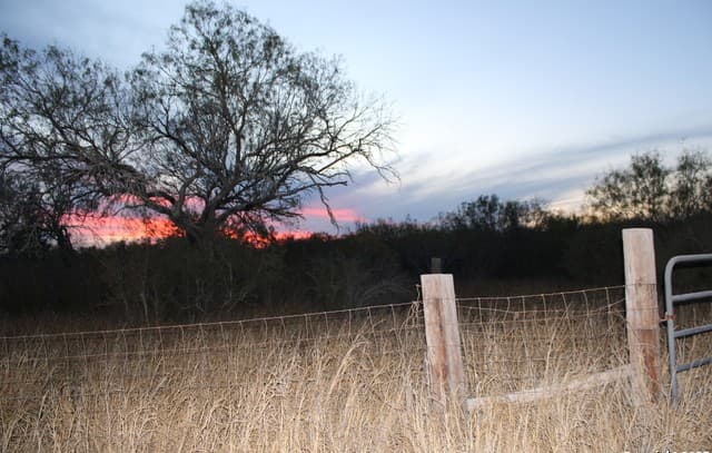 rental at 0000 County Road 339 in Jourdanton, TX — photo 1