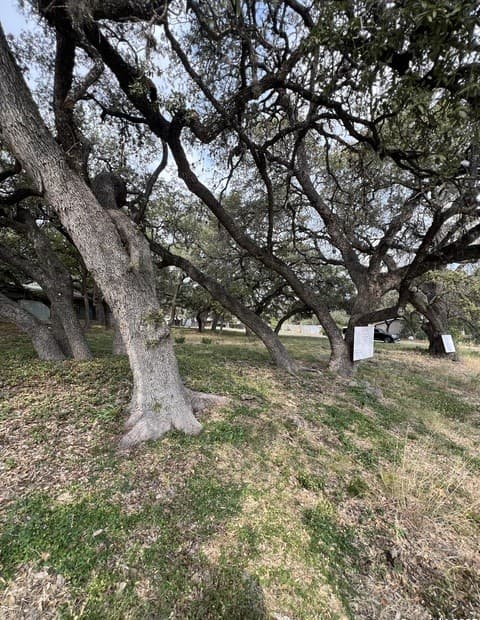 rental at 11811 Orsinger Ln in San Antonio, TX — photo 2