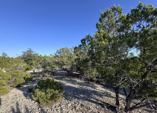 rental at 205 Center Point Rd. in Bandera, TX — photo 4
