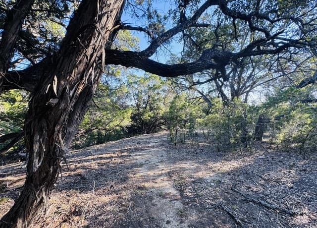 rental at 169 Center Point Rd. in Bandera, TX — photo 5