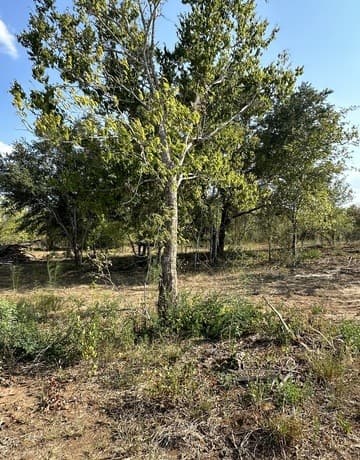 rental at 5894 Fm 1107 Unit B-Tract 1 in Stockdale, TX — photo 1