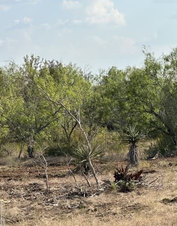 rental at 5894 Fm 1107 Unit B-Tract 1 in Stockdale, TX — photo 3