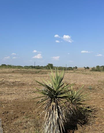 rental at 5894 Fm 1107 Unit A-Tract 2 in Stockdale, TX — photo 2