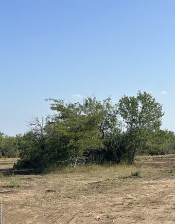 rental at 5894 Fm 1107 Unit A-Tract 2 in Stockdale, TX — photo 5