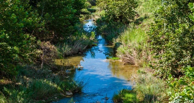 Home for sale at 3936 S State HWY 16 in Fredericksburg, TX — photo 5