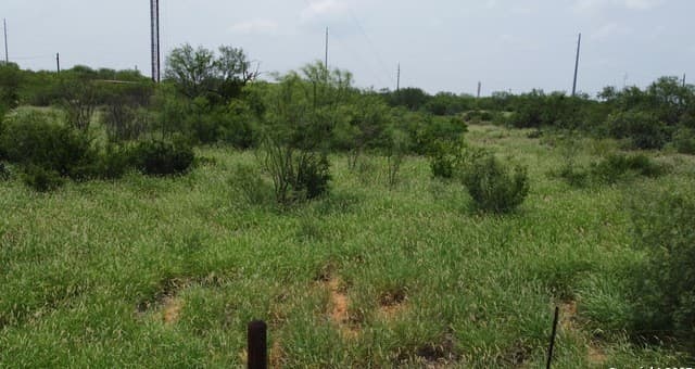 rental at 2438 Interstate 35 in Cotulla, TX — photo 4