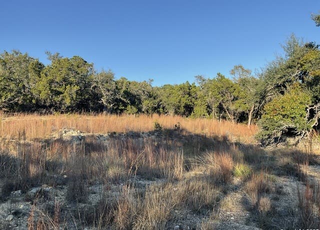 rental at 113 Champion Way in Spring Branch, TX — photo 3