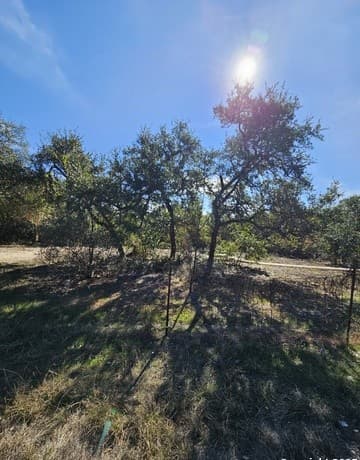 rental at 1290 Tee Pee in Spring Branch, TX — photo 2