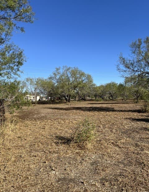 rental at 00 Mesquite and Mulberry in Jourdanton, TX — photo 4