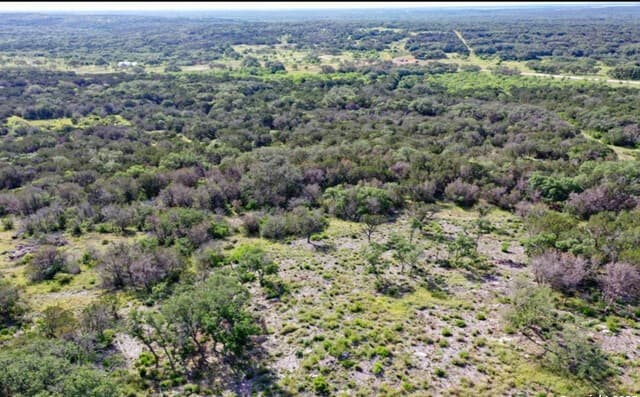 rental at 194 Crescent Ridge in Hondo, TX — photo 4