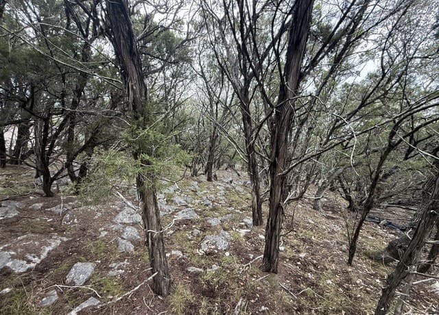 rental at 8115 Grand Stone in San Antonio, TX — photo 4