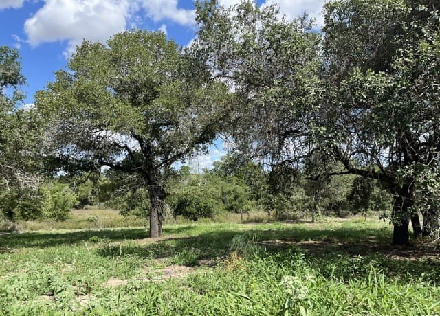 rental at LOT D 497 Cr 124 in Floresville, TX — photo 4