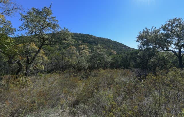 rental at 286 Private Road 1733 in Mico, TX — photo 1