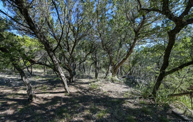 rental at 286 Private Road 1733 in Mico, TX — photo 5