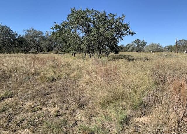 rental at 203 Cr 789 in Natalia, TX — photo 2