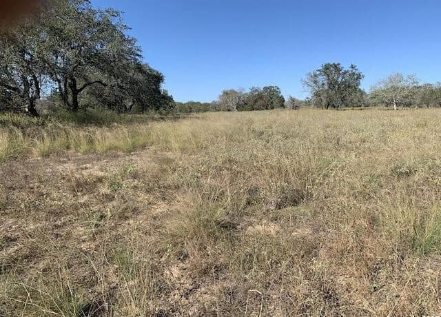 rental at 203 Cr 789 in Natalia, TX — photo 3