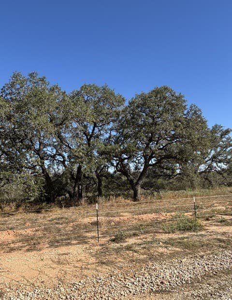 rental at 552 PR Arroyo Vista Lot 41 in Somerset, TX — photo 5