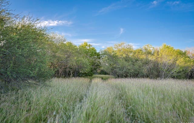 rental at A-735 Franklin Ranch Road in Tilden, TX — photo 3