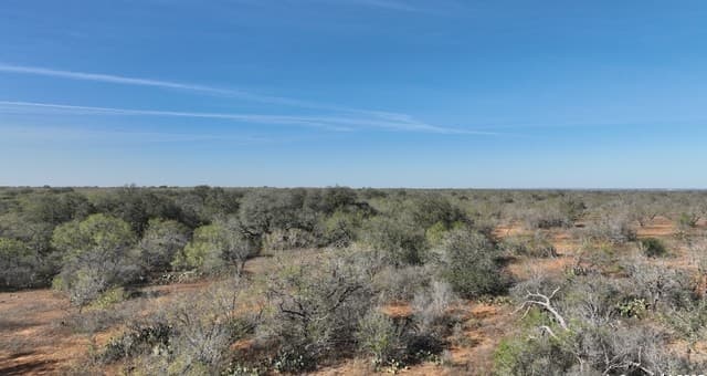 rental at 001 Cr 307 in Jourdanton, TX — photo 1