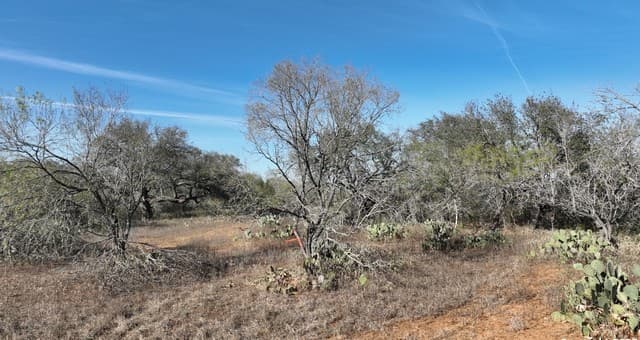 rental at 001 Cr 307 in Jourdanton, TX — photo 4