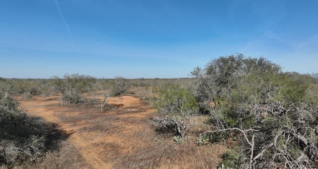 rental at 001 Cr 307 in Jourdanton, TX — photo 5