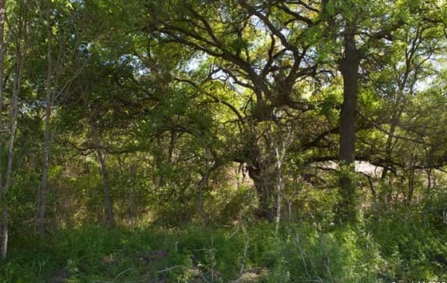 rental at 5797 Blacksmith in Marion, TX — photo 2