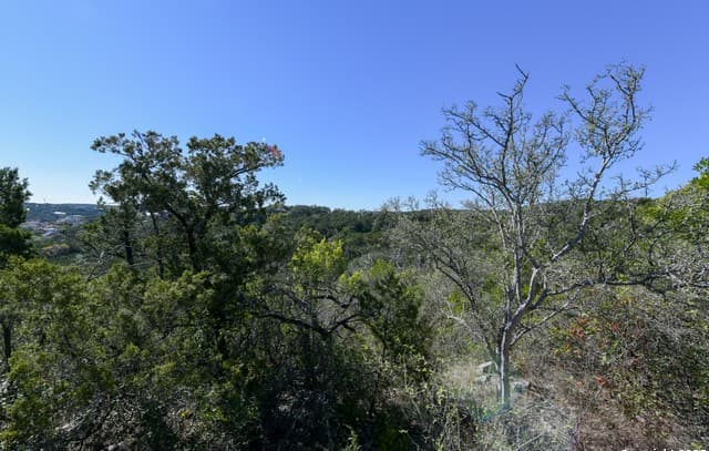 Home for sale at 11304 Condor Pass in Helotes, TX — photo 4