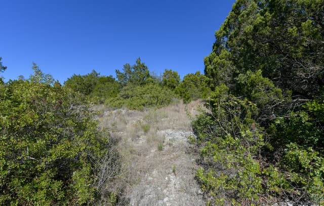 rental at 11266 Condor Pass in Helotes, TX — photo 3