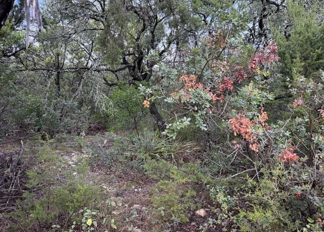 rental at 19011 Snuggle Cliff in San Antonio, TX — photo 2