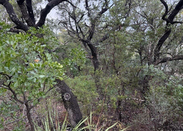 rental at 19011 Snuggle Cliff in San Antonio, TX — photo 3