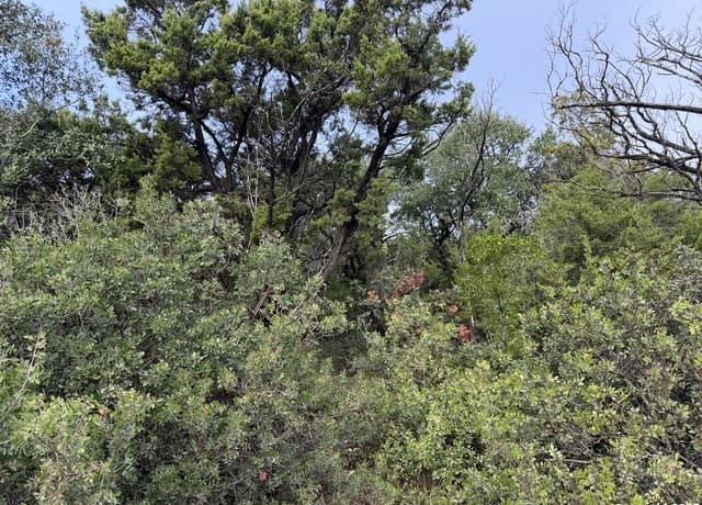 rental at 19011 Snuggle Cliff in San Antonio, TX — photo 4