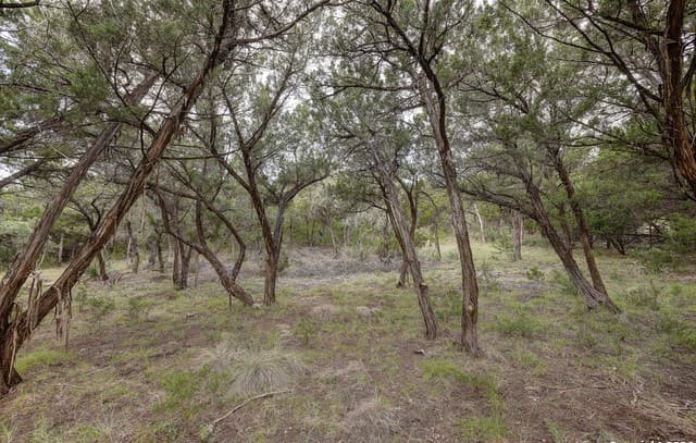 rental at 11411 Anaqua Springs in Boerne, TX — photo 3