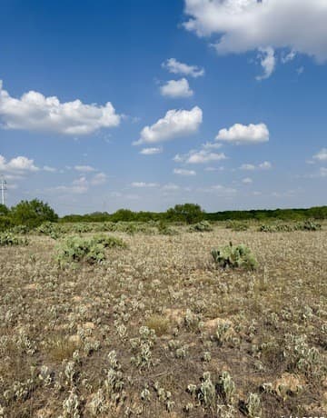 rental at TBD LOT 62 E Cr 1647 in Moore, TX — photo 4