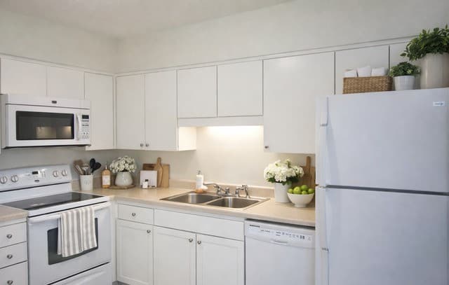 3-bedroom rental at 2300 Nacogdoches Unit 263-R in San Antonio, TX — photo 4