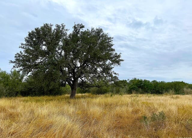 rental at 261 Grand Ranch in Hondo, TX — photo 5