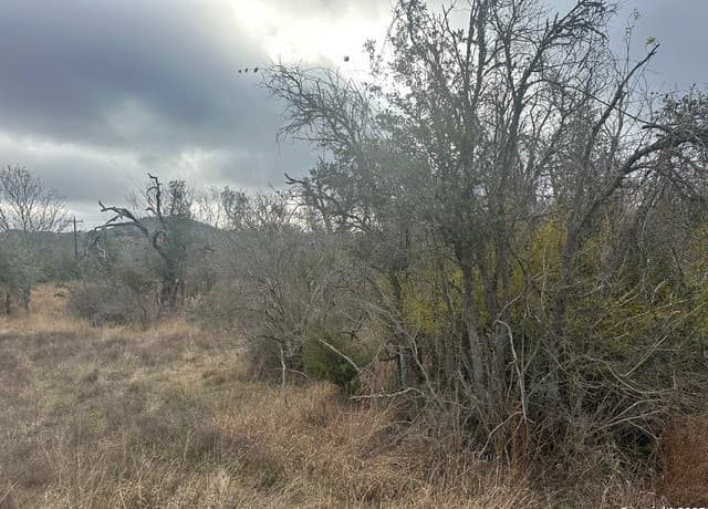 rental at 119 Platten Creek in Boerne, TX — photo 2