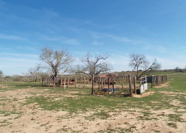 rental at TBD Fm 539 in La Vernia, TX — photo 5