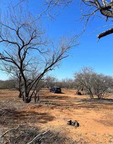 rental at 260 County Road 2662 in Moore, TX — photo 3
