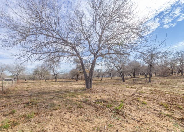rental at 1511 Meadow Glen in Adkins, TX — photo 5