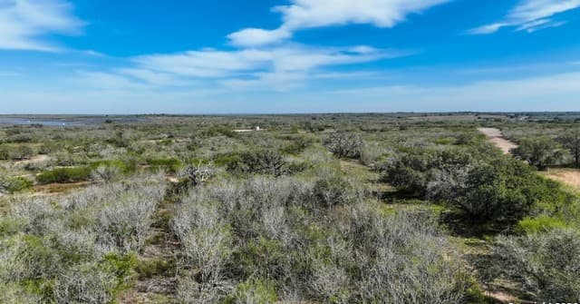 rental at 000 Cr 124 in Kenedy, TX — photo 2