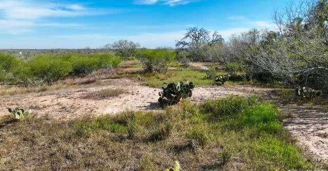 rental at 000 Cr 124 in Kenedy, TX — photo 4