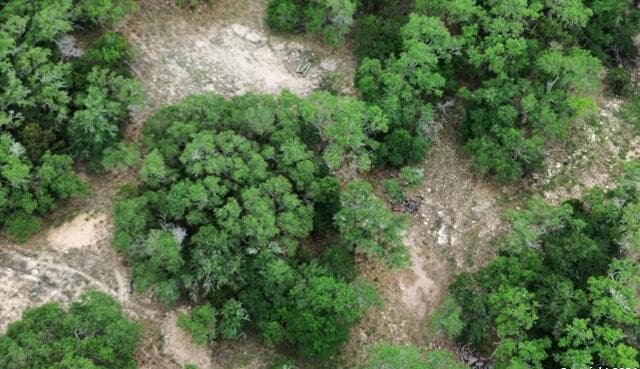 rental at LOT 270 Forest Clfs in San Antonio, TX — photo 4