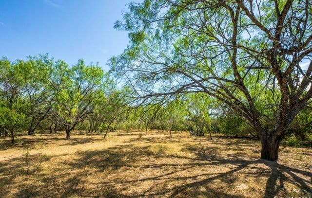rental at CR 732 Cr in Yancey, TX — photo 3