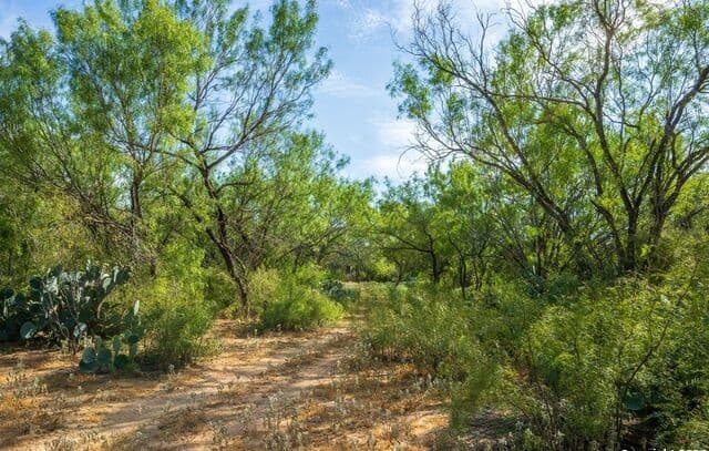 rental at CR 732 Cr in Yancey, TX — photo 4