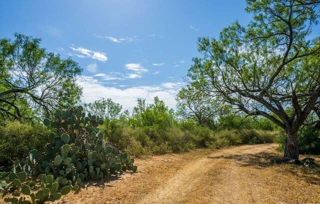 rental at CR 732 Cr in Yancey, TX — photo 5