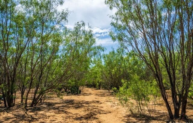 rental at FM2200 2200 in Yancey, TX — photo 4